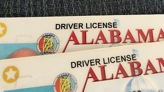 Two Alabama driver licenses showing the state seal and the gold REAL ID star on a dark surface